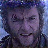 wolverine-1776701