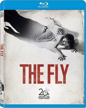 fly-e1379537559884-1141745