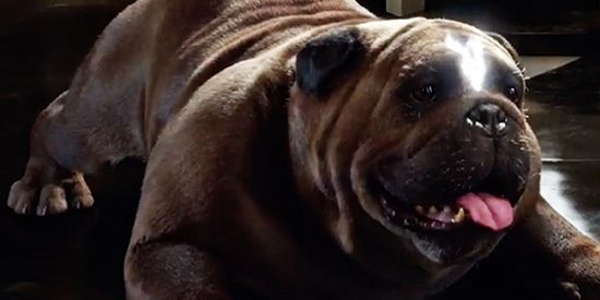 lockjaw-display-6071657