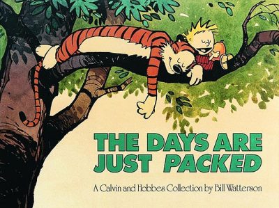 The Days Are Just Packed: A Calvin and Hobbes Collection Volume 9