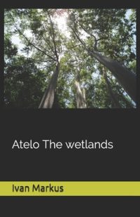 Atelo The wetlans