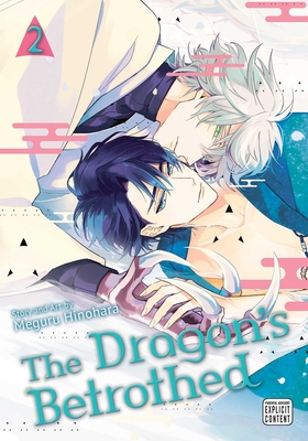 Dragon’s Betrothed, Vol. 2