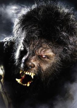 Universal Moves ‘Wolfman’ to November