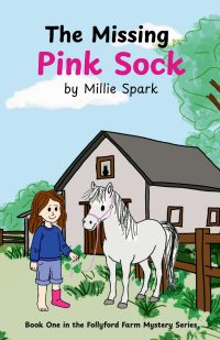 The Missing Pink Sock