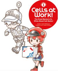 Cells at Work! Picture Book 1: The Great Bacteria vs. White Blood Cell Battle!
