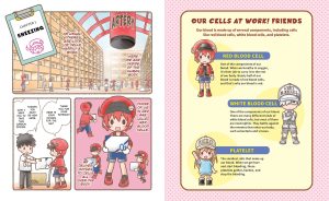 Preview page 1