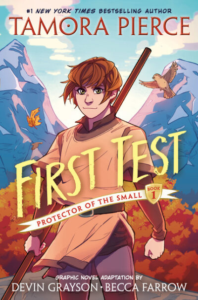 Cover image for First Test Graphic Novel: (A Graphic Novel)