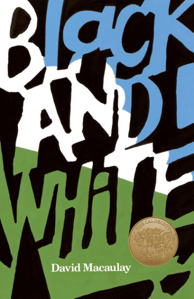 Cover image for Black and White: A Caldecott Award Winner