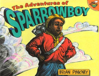 Cover image for The Adventures of Sparrowboy