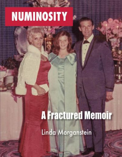 Cover image for Numinosity: A Fractured Memoir