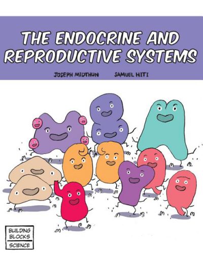 Cover image for The Endocrine and Reproductive Systems