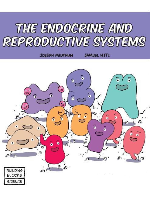 Cover image for The Endocrine and Reproductive Systems