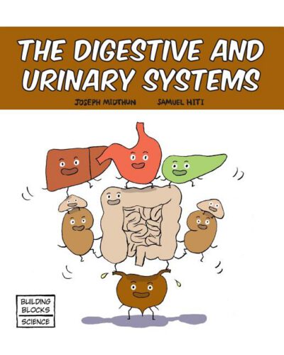 Cover image for The Digestive and Urinary Systems