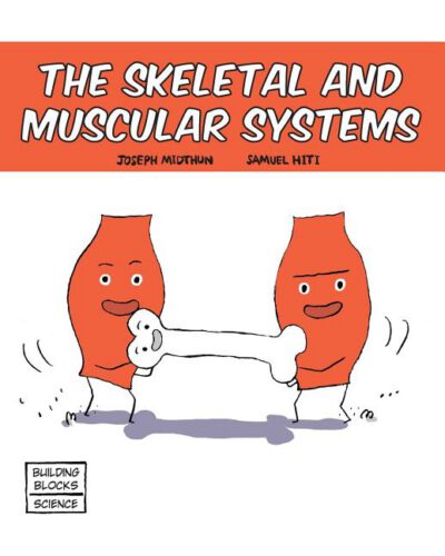 Cover image for Skeletal and Muscular Systems