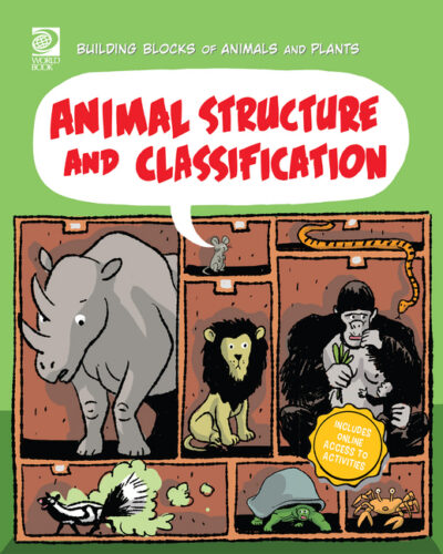 Cover image for Animal Structure and Classification