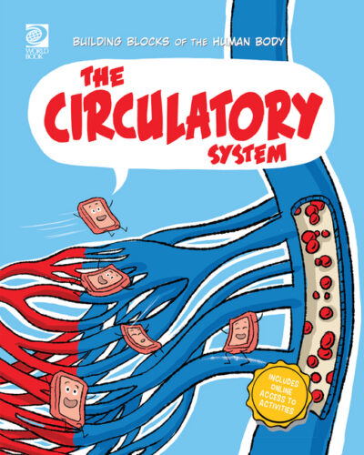 Cover image for The Circulatory System