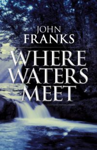 Cover image for Where Waters Meet: A mystical tale of conflicted twins