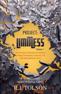 Cover image for The Success Initiative (Project: Limitless, Volume 1): The Start Guide to Unleashing Your Potential, Crumbling the Boundaries Around You, and Achievin