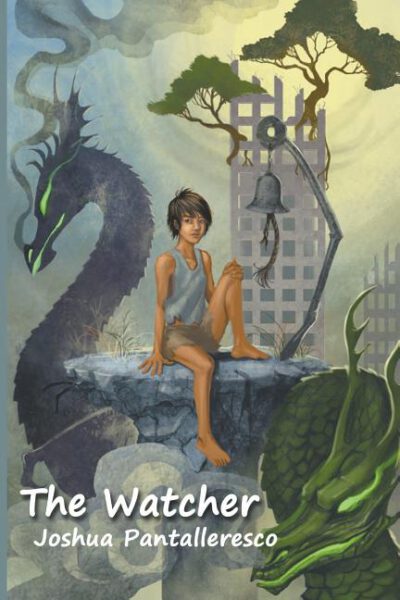 Cover image for The Watcher