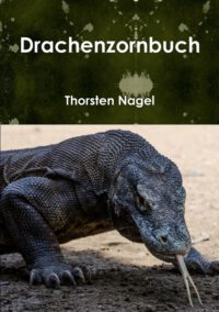 Cover image for Drachenzornbuch