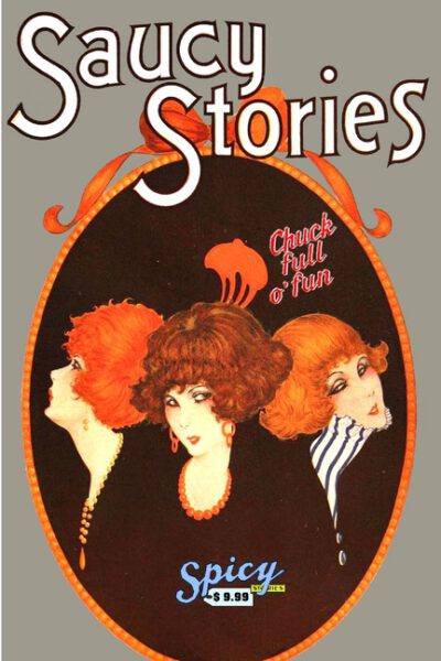 Cover image for Saucy Stories