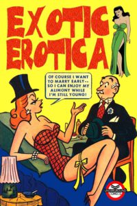 Cover image for Exotic Erotica