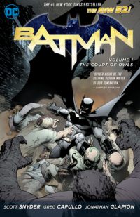 Cover image for The Court of Owls