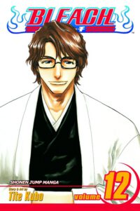 Cover image for Bleach, Vol. 12