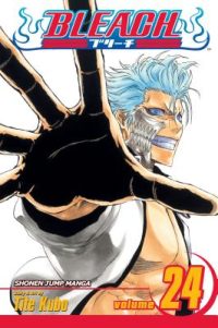 Cover image for Bleach, Vol. 24 [With Sticker]