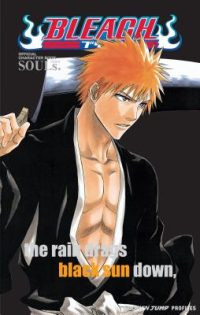 Cover image for Bleach: Souls. Official Character Book [With Stickers]
