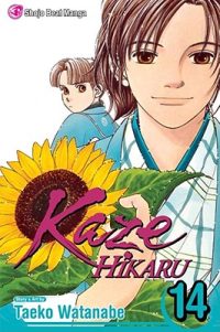 Cover image for Kaze Hikaru, Vol. 14
