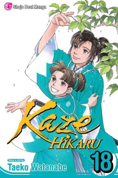 Cover image for Kaze Hikaru, Vol. 18