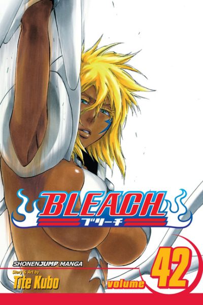 Cover image for Bleach, Vol. 42