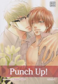 Cover image for Punch Up!, Vol. 4