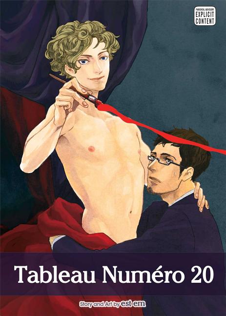 Cover image for Tableau Numero 20