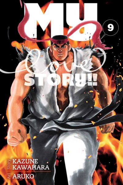 Cover image for My Love Story!!, Vol. 9
