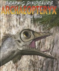Cover image for Archaeopteryx