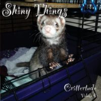 Cover image for Shiny Things