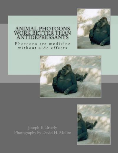 Cover image for Animal Photoons Work Better Than Antidepressants: Photoons are medicine without side effects