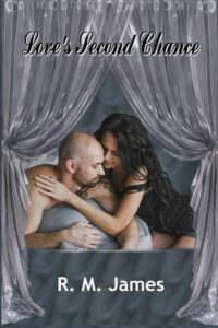 Cover image for Loves Second Chance: Edited Edition