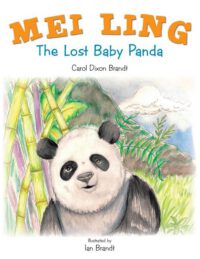Cover image for Mei Ling: The Lost Baby Panda
