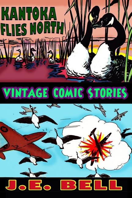 Cover image for Katonka Flies North