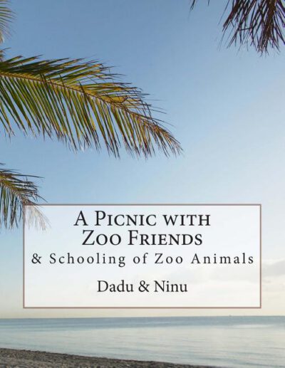 Cover image for A Picnic with Zoo Friends: & Schooling of Zoo Animals