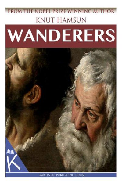 Cover image for Wanderers