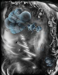 Cover image for Nephore: From the bridge