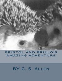 Cover image for Bristol and Brillo's Amazing Adventure
