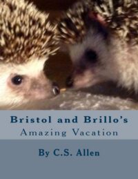 Cover image for Bristol and Brillo's Amazing Vacation: The Hedgehog Sisters