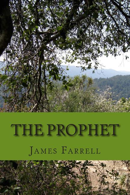 Cover image for The Prophet: A Superhero Novel