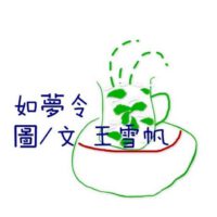 Cover image for Dreamer.Simplified Chinese: Song about true love in the air......