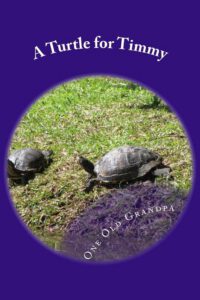 Cover image for A Turtle for Timmy
